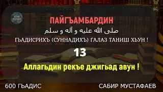 Гьадисрихъ галаз таниш хьун -13 / Аллагьдин рекъе джигьад авун !