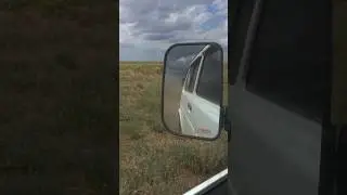 Self Control, fields of happy