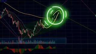 New law on confiscation of cryptocurrencies | Forecast Bitcoin BTC ETH XRP DOT news cryptocurrency