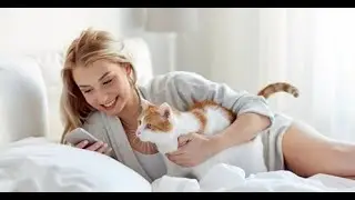 Cats and people, best friends !!!!!Коты и люди,лучшие друзья!!!!!