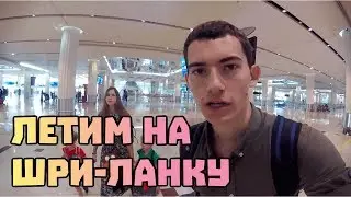 Летим из Дубая на Шри-Ланку. Виза на Шри Ланку. Наше жилье в Велигаме на Шри-Ланке #25