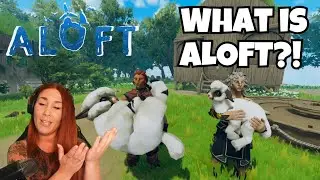 Everything You Need To Know About Aloft