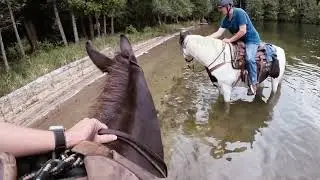 Tom Goes  Fishing With Dad and For A Ride With Fanny Dave and Cowboy