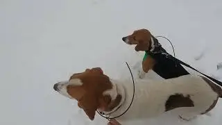 Охота 