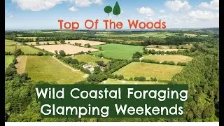 Wild Coastal Foraging Glamping Weekends at Top of the Woods Eco Camping Glamping Pembrokeshire Wales