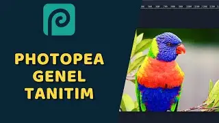 Photopea - Genel Tanıtım