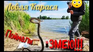Ловля карася р.Конка 2020 Неожиданные трофеи.