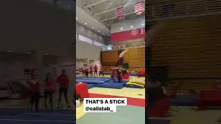 Calista Brady (Cornell) 2023 Vault