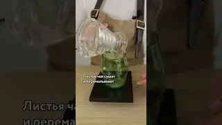 Классический рецепт матча латте