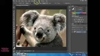 How to install or setup Extract plug in  Adobe Photoshop CS6 tutorial #48