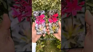 Oneplus 12R Vs Realme 12 pro plus Portrait mode test 🤜📸🤛 
