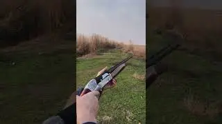 Aselkon 12 ga | турецкий ружье аселкон 12 калибр 