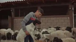 Contra Norte - Relatos De Mi Vida (Video Oficial 2024)