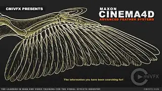 cmiVFX Cinema 4D Advanced Feathers