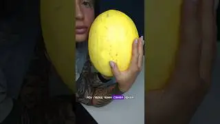 светящаяся дыня! тренд 2024?!😱 #шок #дыня #тренды #кот