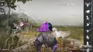 #Pubglover