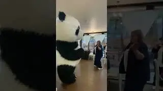 Красавчик Амиго поздравил с Днем рождения 