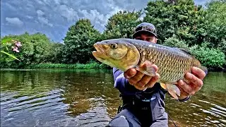 Back for Chub fishing on Top Water lures !!!