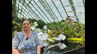 EXCURSION TO A MAN-MADE PARADISE! CLOUD FOREST OF SINGAPORE!