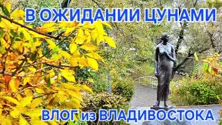 ВО ВЛАСТИ ТАЙФУНА . ВЛАДИВОСТОК . ВЛОГ . 23.10.2024.