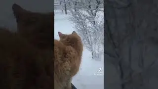 7 января 2022 г.