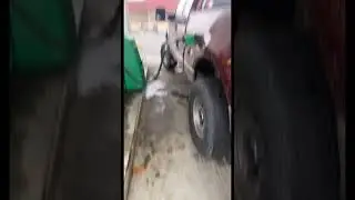 What I do for a living 