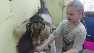 Каникулы
