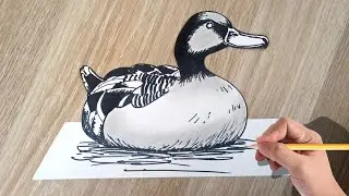 How to draw a 3d Duck on paper