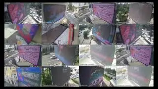 amedia отчеты