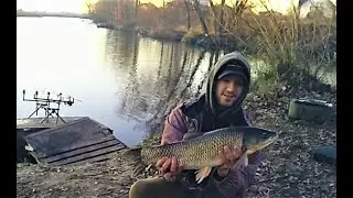 Карповая рыбалка Киев. Закрытие сезона 2020. Карп и Белый Амур!!!
