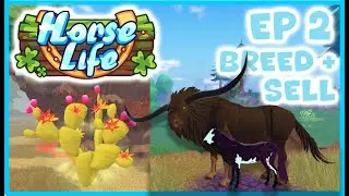 HORSE LIFE #2 - UPGRADING STABLES, BREEDING, SELLING + FINDING THE CACTUS FRUITS!