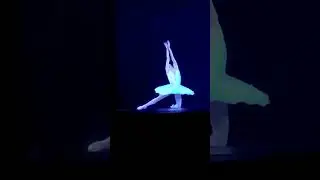 #балет «Лебединое озеро»  Оксана Скорик танцует Лебедя #Dancer