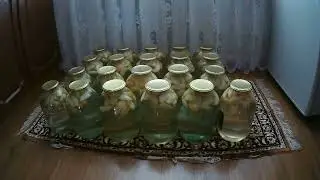 На улице ненастье.  Решили сушить яблоки.