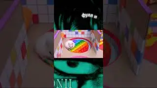 КАКИЕ ХОМЯКИ НА САМОМ ДЕЛЕ.... II  #шорц #хомяк #hamsterkombat #hamsters #хомяки  #шортс  #юмор
