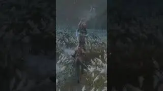 Perfect Deflection: Multiple JiDao Isshin - Sekiro 
