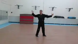 Ушу в Тобольске. Соревнование по комплексам.
