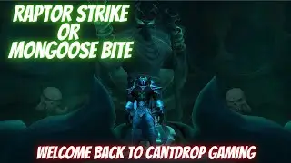 Survival Hunter 9.0 Shadowlands: RS or MB My Thoughts and Testing