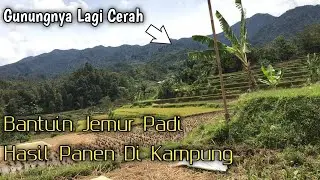 Kalo Tempatnya Kaya Gini Sih Tambah Betah || Sawah Di Kaki Gunung Burangrang