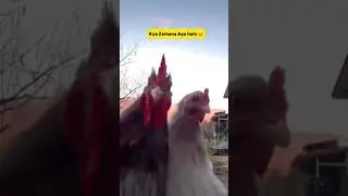 kya jamana aa gaya hai😂 new comedy video #shorts #viral #tiktok #funny #comedy