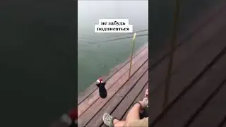 Ракета для закорма с AliExpress