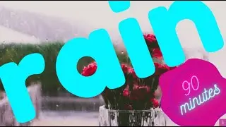 90 Minutes of Relax Music, Rain Music, Calming Music | Zoya Shares This