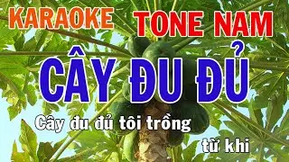 Cây Đu Đủ Karaoke Tone Nam Nhạc Sống - Phối Mới Dễ Hát - Nhật Nguyễn