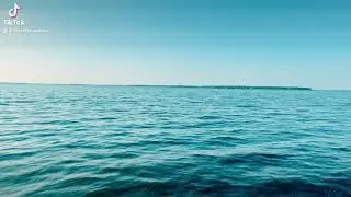 🌊