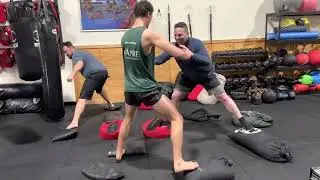 Play together | The Bear Training System |