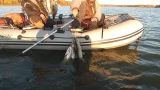 Осенний жор на Истре  Ловля Щуки и судака