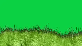 animated grass free green screen cartoon video