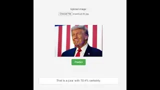 HOW TO MAKE YOUR OWN AI IMAGE CLASSIFIER FOR FREE