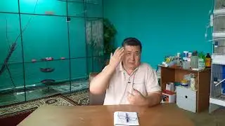 Канарейки- о третьей Выставке в городе Алматы, 6-7октября 2023 года.