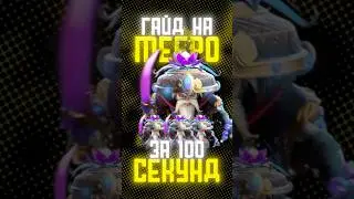 гайд на мипо за 100 секунд 