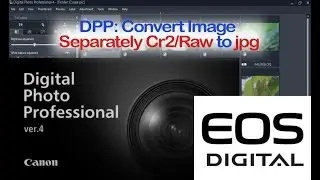 Digital Photo Professional (DPP) 4: Select & Converter Images Separately